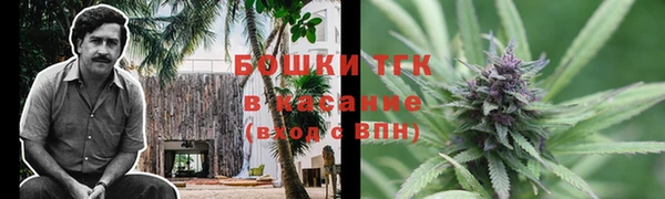 прущие грибы Богородицк