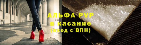 прущие грибы Богородицк
