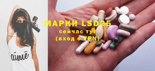 ПСИЛОЦИБИНОВЫЕ ГРИБЫ Богородск