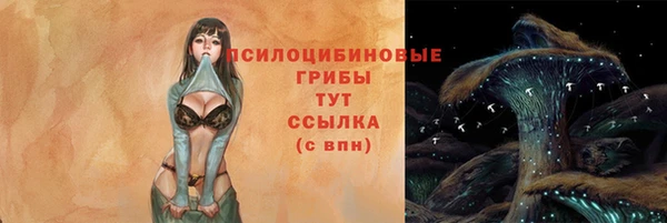 дживик Богданович