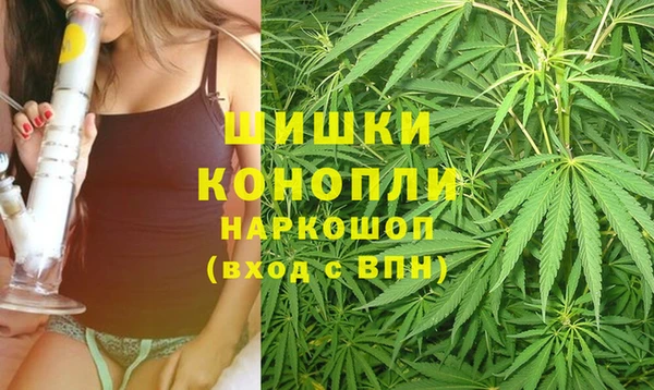 прущие грибы Богородицк