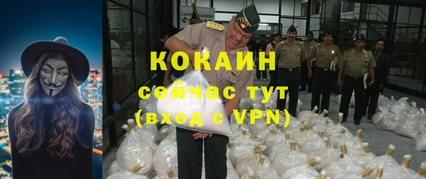 прущие грибы Богородицк